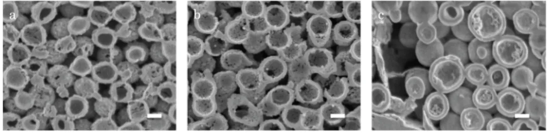 FIG. 1. Low voltage SEM images of Ru /Pt@Carbon (a), Au@Carbon (b), and Pt@Polymer (c)