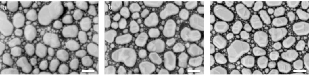 FIG. 5. Three di fferent LV-HRSEM images to show dependence of spatial resolution on specimen bias voltage, keeping constant landing energy of 500 eV