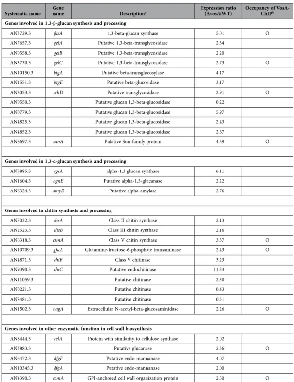 Table 1.   Relative expression of cell wall-related genes in  Δ vosA and WT conidia.  a ASPGD and de Groot et  al., 2009