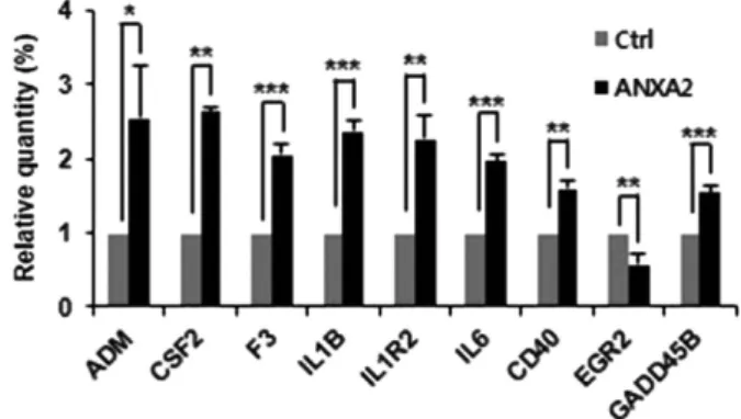 Figure S1). Thus, based on these results, we suggest that overexpression of ANXA2 increases the expression of anti-apoptotic genes, leading to an anti-apoptotic or  drug-resistant phenotype.