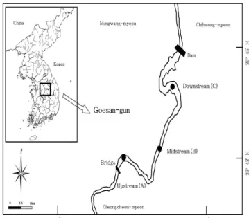 Figure  1.  Map  showing  the  studied  stations  in  lake  Goesan,  Korea 