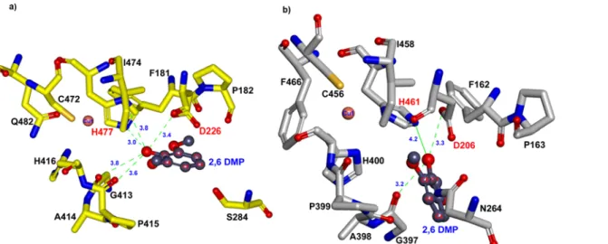 Fig 5. Substrate docking of YlLac with 2,6-DMP in the active site pocket. (a) 2,6-DMP docking into the active site of YlLac