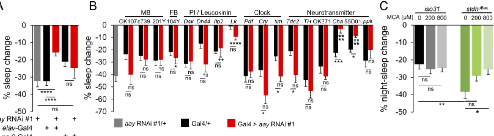 Fig. 5. Sleep regulation by the serine metabolic pathway implicates cholinergic signaling