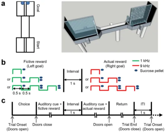 Fig. 3). The magnitude of the regression coefficient (i.e., effect size) for t-1 trial was not significantly different between actual and fictive rewards (0.428 6 0.088 vs