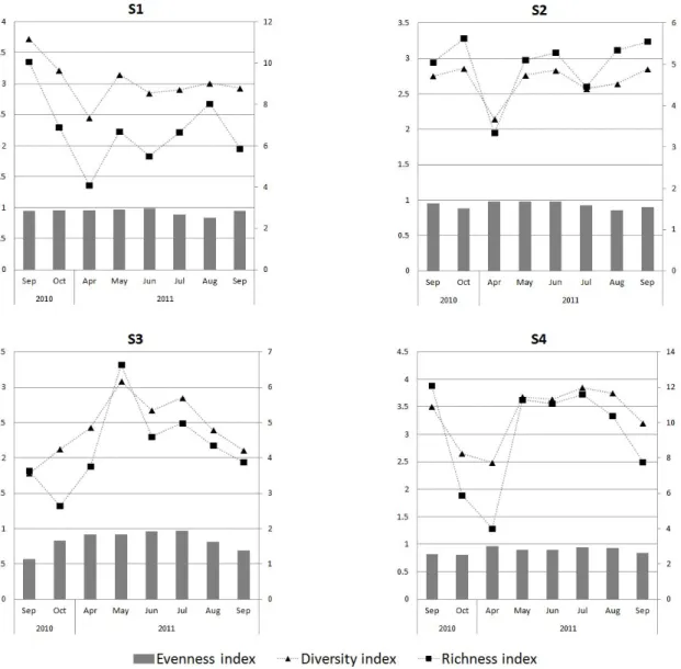 Figure 3. Community analysis of insects collected from the each sites in surveyed areas조사기간 동안 채집된 개체중 개미류를 제외한 4개 지점의 조사시기별 우점종과 우점도를 분석한 결과,  2010년 9월은 전체 군집 중 S4의 꽃매미를 제외한 모든 지점에서 귀뚜라미가 우점하였고,  아우점종으로는 고추좀잠자리(S1),  검정오이잎벌레(S2),  혹가슴검정소똥풍뎅이(S3)와 귀뚜라미(S4)