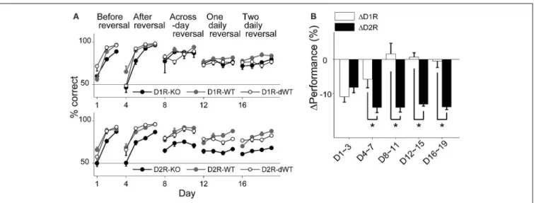 FIGURE 2 | Behavioral performance in the reversal task. (A) Behavioral performance (% correct choice; mean ± s.e.m