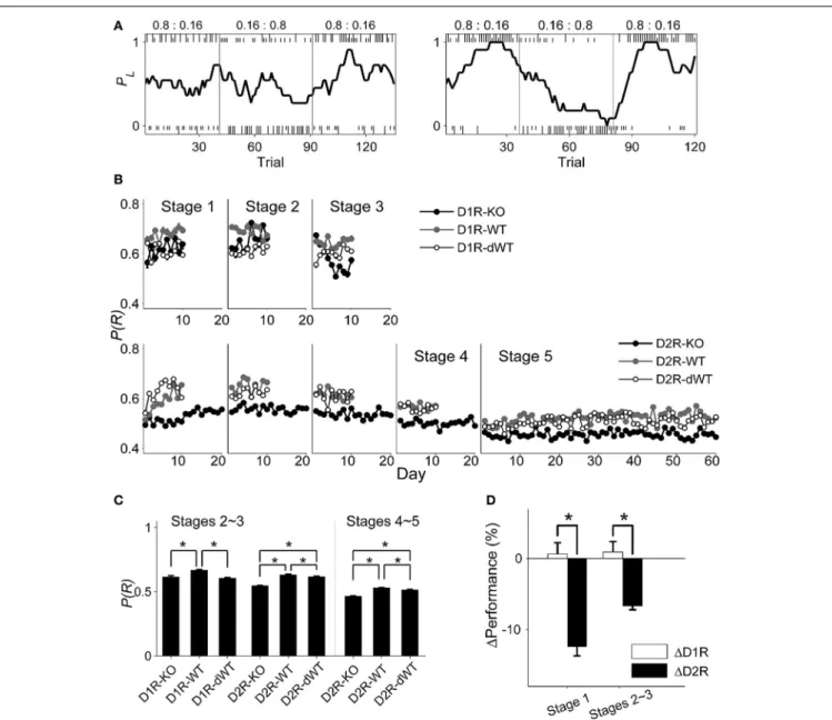 FIGURE 3 | Behavioral performance in the dynamic TAB task. (A) Examples of choice behavior (chosen from stage 3; left, D2R-KO; right, D2R-dWT) in the TAB task