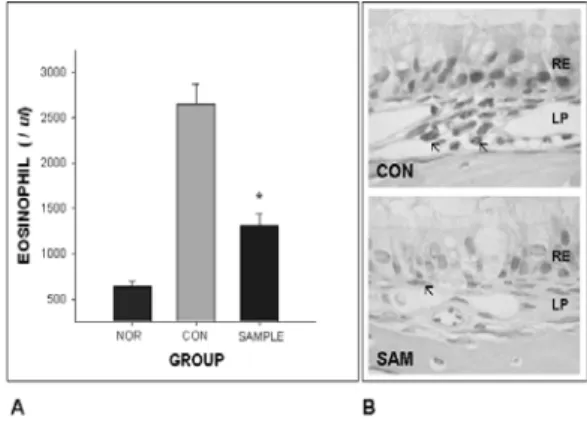 Fig. 1. The  decrease  of  eosinophil  by  HYT  treatment  in  AR  elicited  mice. 