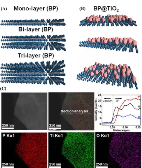 Figure 1 | Modelled structures and elemental mapping analysis. Modelled mono-, bi-layer, and tri-layered BP structures (A), TiO 2 substitution on BP