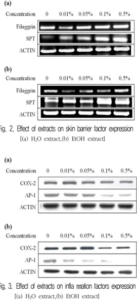 Fig. 3. Effect of extracts on infla ㎜ation factors expression