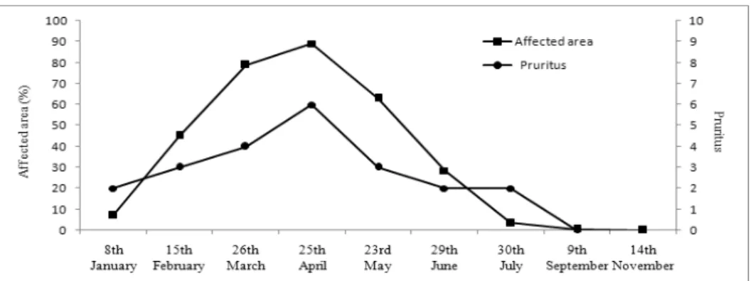 Fig.  2.  Changes  of  affected  area  and  pruritus 의를  얻은  후  진행되었다. III.  임상경과 1.  건선의  중등도의  변화     초진  시  6.2점이었던  PASI  점수는  점점  증가하여  4월  25일에는  30점으로  가장  높은  점수를  나타 내었다