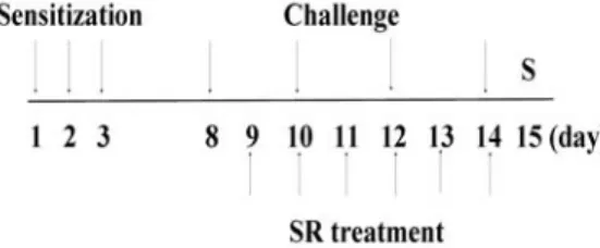 Fig.  1.  Experimental  design 