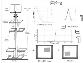 Fig.  3.  2.0o  or  3.0o  degreed  LSF  spectrum  of  the  IDR  using  IEC  method