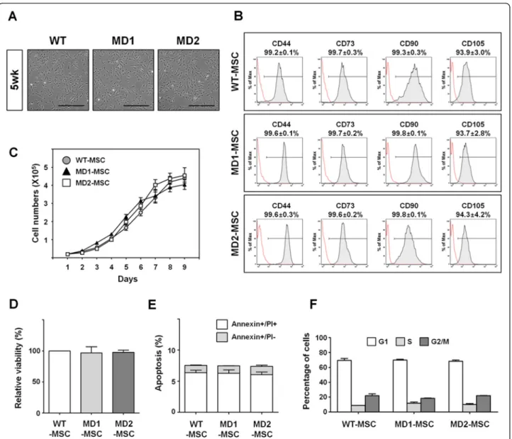 Fig. 3 Maturation of MD-MSCs by extended culture. a Bright-field microscopy images of MD-MSCs