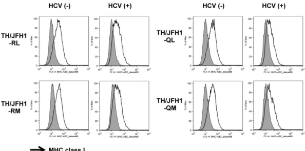 Table 2.   Effects of hepatitis C virus replication on MHC class I molecule expression