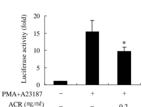 Fig. 15. Effect  of  ACR  on  activation  of  NF-κB  promoter  region 