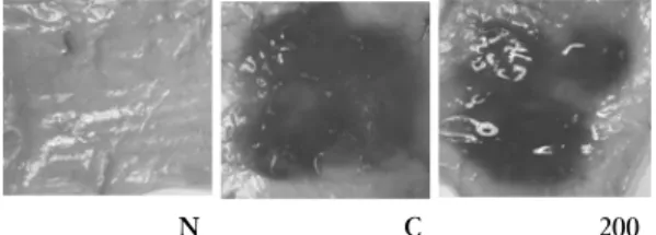 Fig. 4. Effect  of  ACR  on  cell  viability  of  activated  mast  cells 