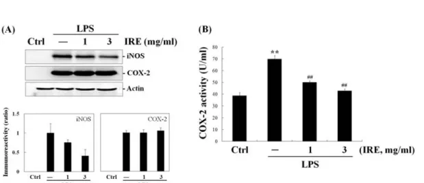 Fig.  2.  Reduction  of  iNOS  expression  and  COX-2  activity  by  IRE. 