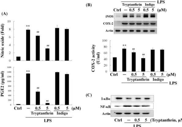 Fig. 5. Inhibition  of  NO  and  PGE2  production  by  tryptanthrin  through  the  suppression  of  NF-κB  nuclear  translocation