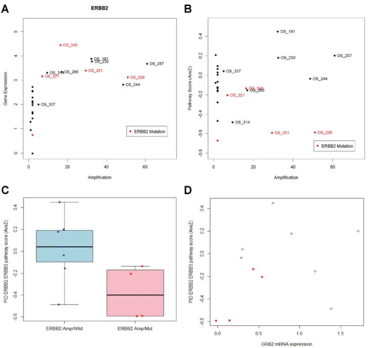 Figure 5: HER2 pathway analysis.  A. ERBB2 copy number and gene expression of twenty seven metastatic breast cancer patients