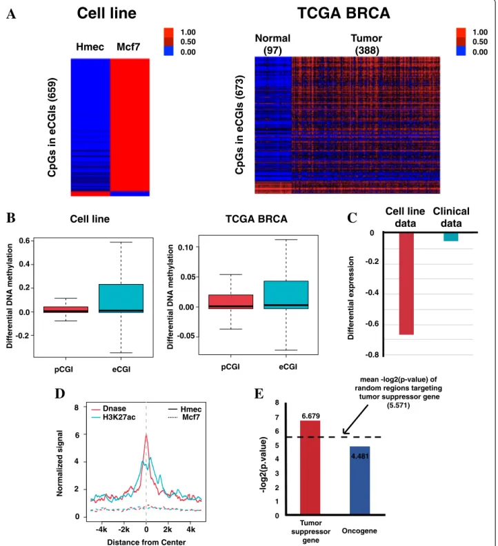 Fig. 5 Dynamic tumorigenic changes of DNA methylation in the eCGIs. a Heatmap showing aberrant DNA methylation of the eCGIs in Mcf7 cell line (left) and clinical cancer data (right)