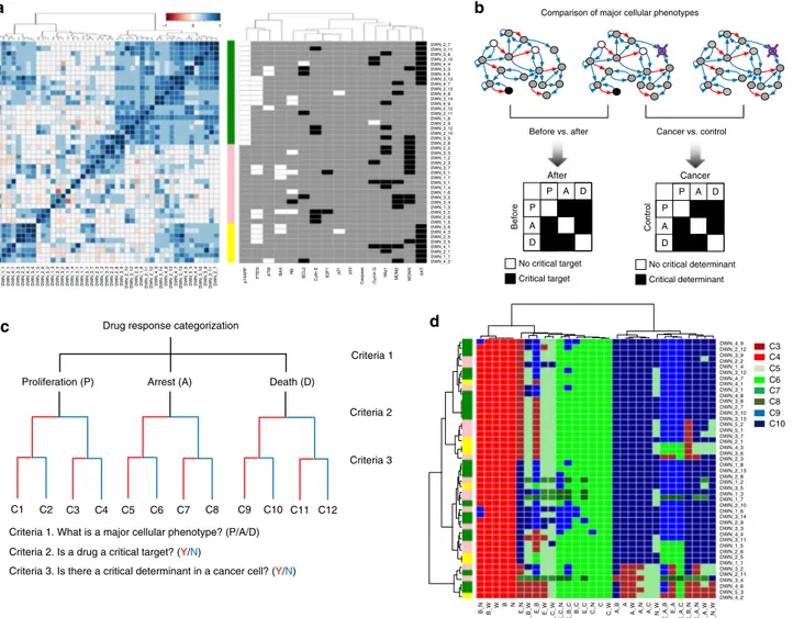 Fig. 3 Classi ﬁcation of cellular response to single and combinatorial perturbations. a Network similarity-based clustering of 45 differentially wired networks