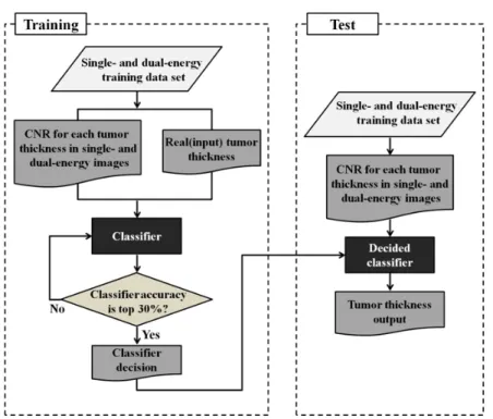 Fig.  4.  Training  and  validation  algorithms  based  on  a  classifier  for  extracting  tumor  thicknesses  in  single-  and  dual-energy  mammography