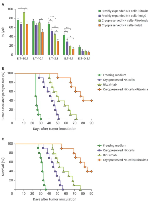 Figure 5.  The ADCC activity of cryopreserved NK cells in combination with rituximab in Raji lymphoma model