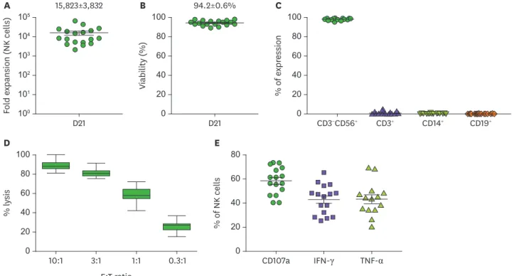 Figure 1.  Characterization of NK cells expanded for 21 days in large-scale. CD3-depleted cells were expanded by stimulating irradiated PBMCs in the presence  of IL-2 and OKT3 on 0 days and 7 days