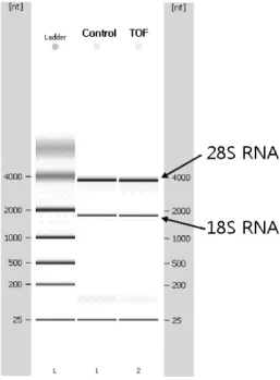 Fig. 2B. Peak pattern of RNA 