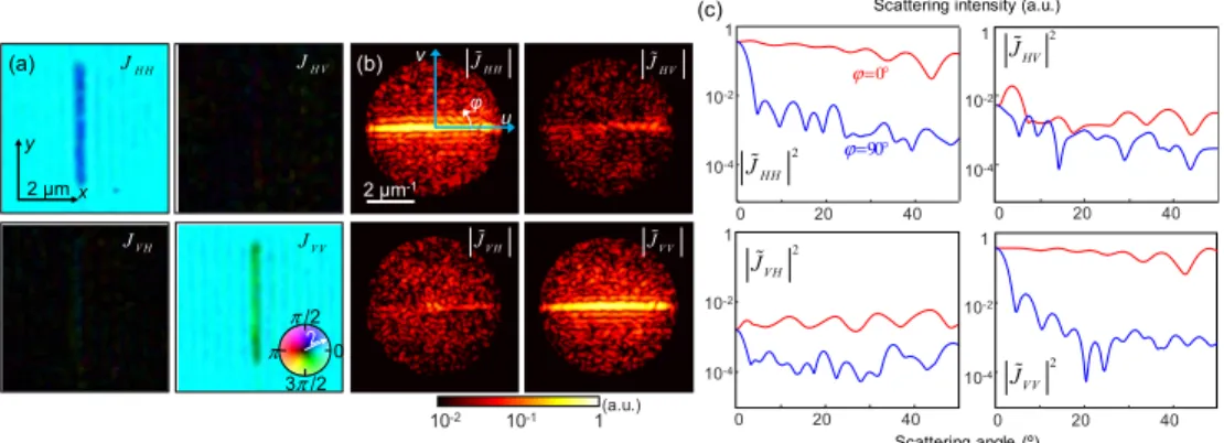 Fig. 3. Measured Jones matrix and scattered field of a silver NW. (a) Spatially resolved Jones  matrix of the vertically aligned silver NW