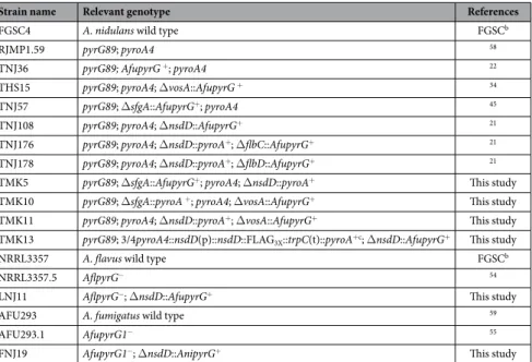 Table 1.   Aspergillus strains used in this study.  a All A. nidulans strains carry the veA +  allele
