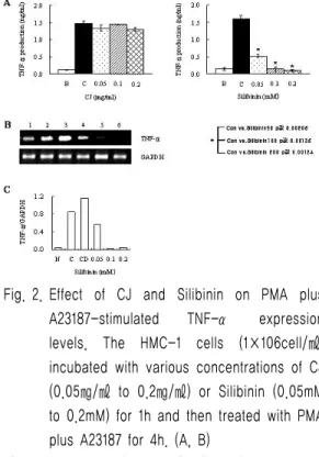 Fig. 1. Effect  of  CJ  and  Silibinin  on  cell  viability  and  histamine  release  of  activated  mast  cells