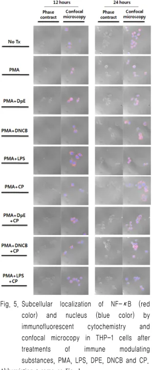 Fig. 6. Translocation  of  NF-κB  into  nucleus  by  quantitative  analysis  for  the  intensity  with  immunofluorescent  cytochemistry  and  confocal  microcopy  in  THP-1  cells  after  treatments  of  immune  modulating  substances,  PMA,  LPS,  DPE,  