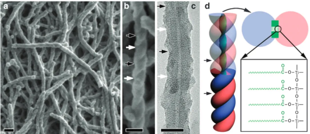 Figure 1 | Microscopy and schematic drawings of the as-prepared organic lipid–TiO 2 hybrid ﬁbres