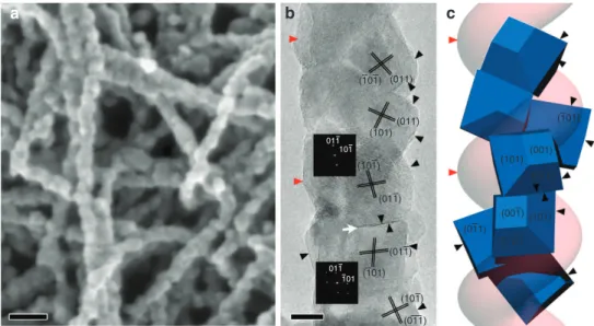 Figure 3 | Electron microscopy and schematic drawing of calcined chiral crystalline TiO 2 