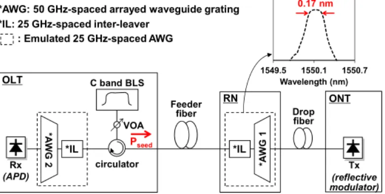 Figure 2 shows the experimental setup for investigating 25 GHz-spaced DWDM-PON based  on ASE injection seeding