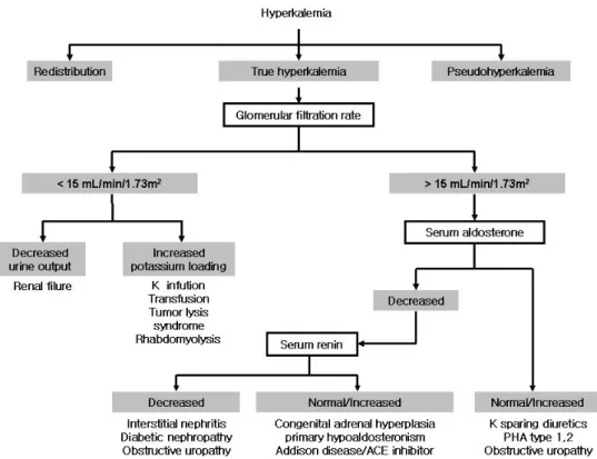 Fig. 3. Differential diagnosis of hyperkalemia is shown [15]. Hyperkalemia is defined as a serum potassium level above 5.5 mEq/L