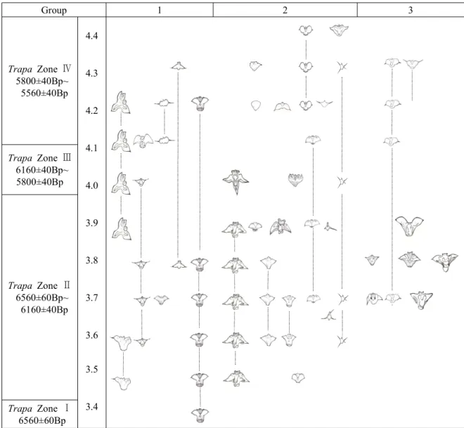 Figure  7.  Assumed  evolutionary  lineage  adaptation  of  the  genus  Trapa  of  Korea  (The  following  picture  was  made  by  integrating  the  C 14   carbon  dating  data,  External  morphological  analysis  data,  numerical  taxonomic  data  which  