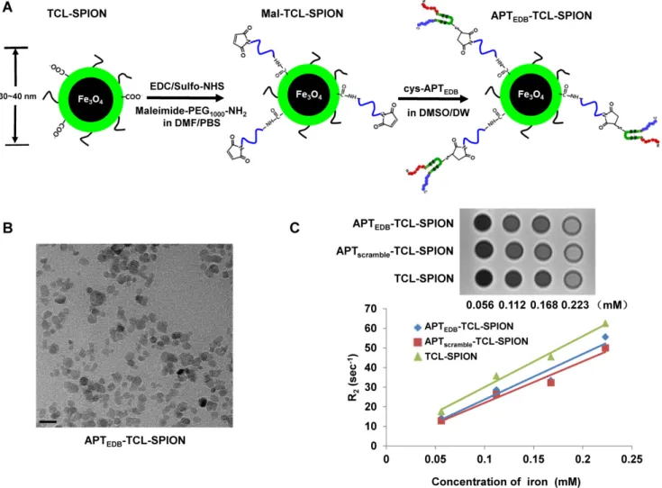 Figure 4). We found that ~5 x 10 5  BTICs could be suf-