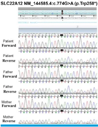 Fig. 2. Sequences around the c.774G>A (p.W258X) mutation of  the patient and his parents