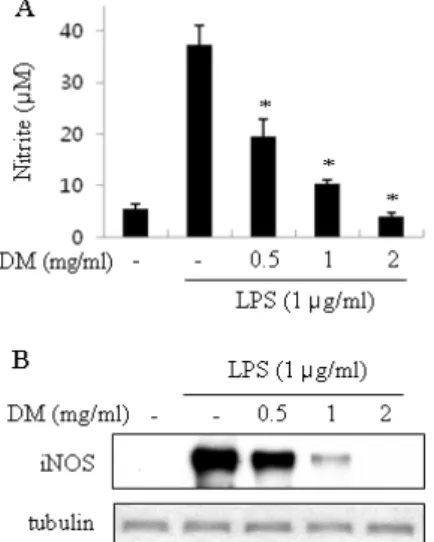 Fig.  1.  Effect  of  DM  on  cell  viability.  RAW  264.7  cells  were  incubated  with  various  concentration of DM in the presence of 1 