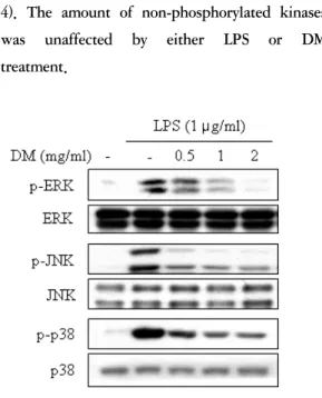 Fig. 4. Effect of DM on ERK, p38 and JNK activity  in LPS-stimulated macrophages. RAW 264.7  cells  were  treated  with  indicated  concentrations of DM for 1 h and stimulated  with 1 ㎍/㎖  LPS for 15 min