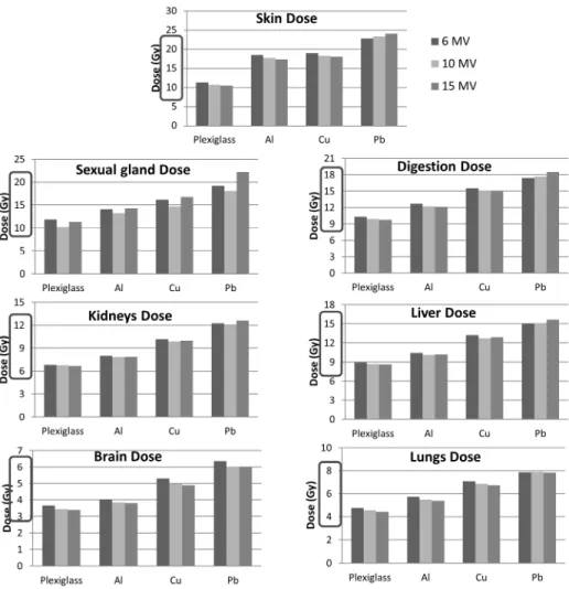 Fig.  6  Material-  and  energy-dependent  deep  organ  doses