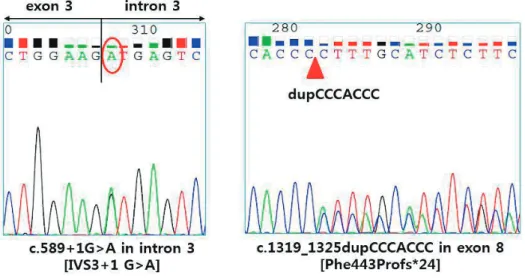 Fig. 2. Mutation analysis of the proband revealed a compound heterozygous mutation for c.589+1G>A and           Phe443Profs*24 in the CYP27B1 gene