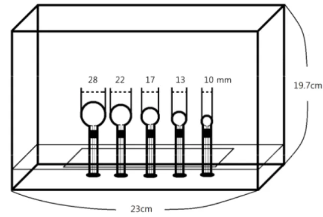 Fig. 2 Design forming 5 sphere(28 ㎜, 22 ㎜, 17 ㎜, 13 ㎜, 10 ㎜)  of  the  BSGI  phantom.