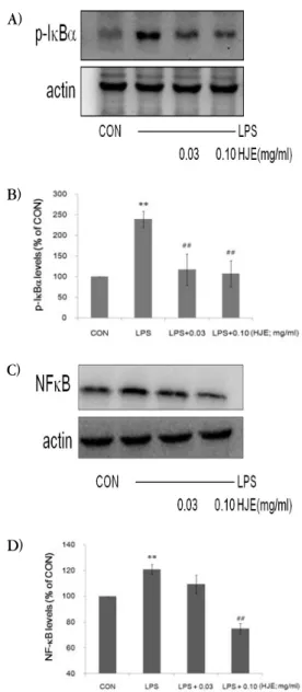 Fig. 6. Effect of HJE on the induction of COX-2 by  LPS.