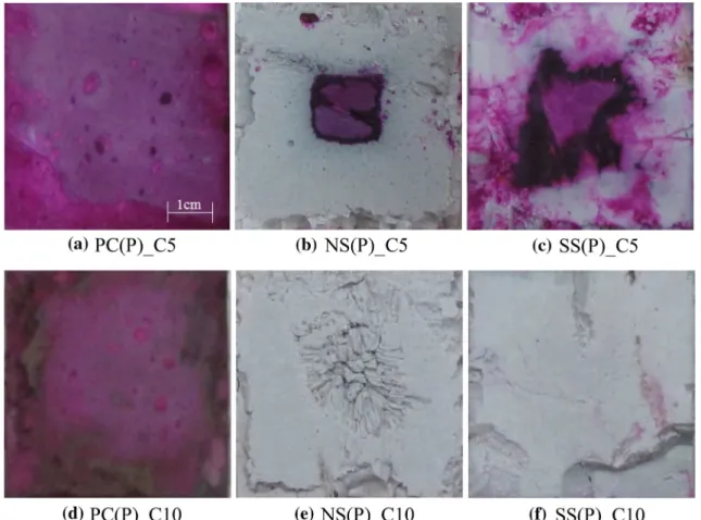 Fig. 1 Carbonation depth of AAS and OPC pastes according to CO 2 concentration: C5 and C10 indicate 5 and 10 % CO 2