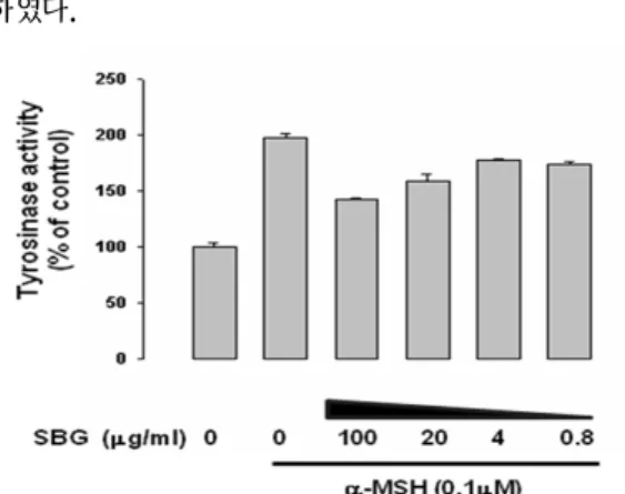 Fig.  3.  Effect  of  SBG  on  Melanogenesis  in  B16F1  cells. 