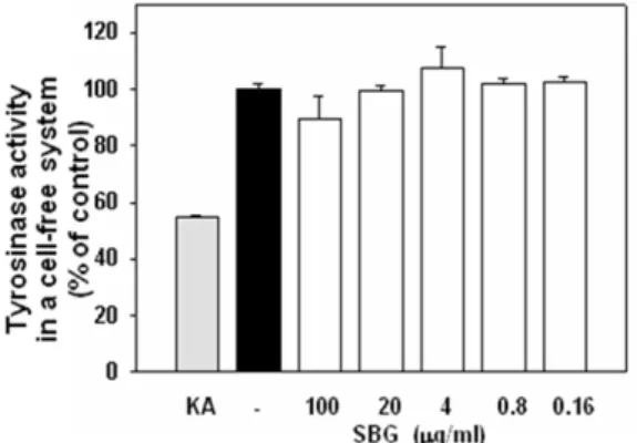 Fig.  6.  Effect  of  SBG  on  mushroom  tyrosinase  activity and expression 